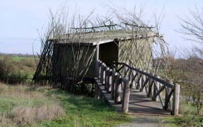 Observatoire du Marais de Grée